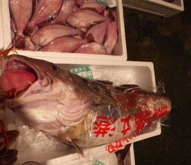 1201103.JPG