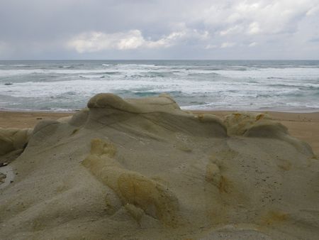 1202121.JPG