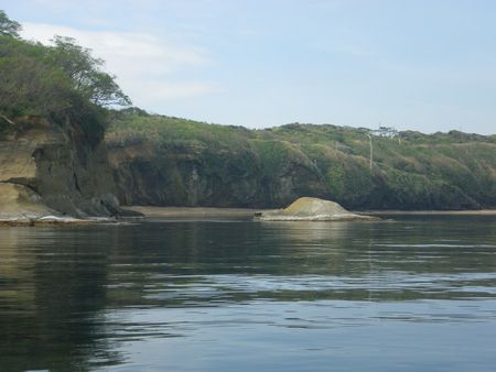 1205024.JPG