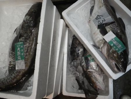 1302052.JPG