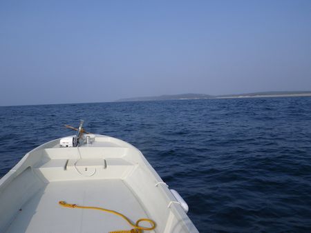 1303201.JPG