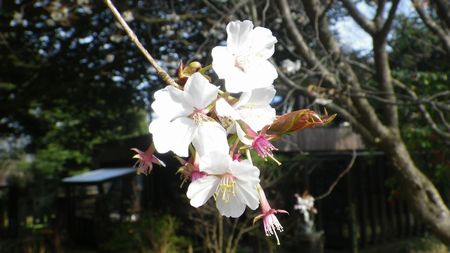 1304041.JPG