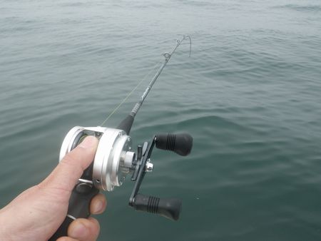 1304182.JPG