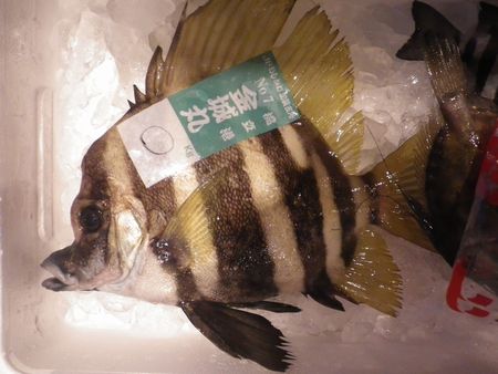 1305012.JPG