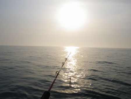 1305142.JPG