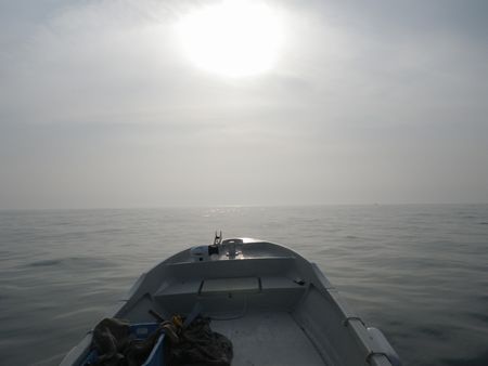 1305144.JPG