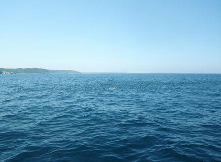 1305243.JPG