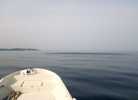 1305281.JPG