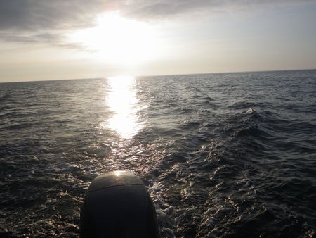 1306143.JPG