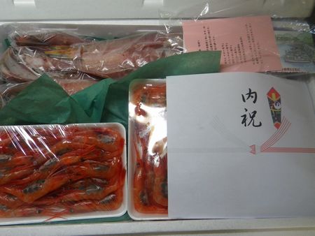 1306161.JPG