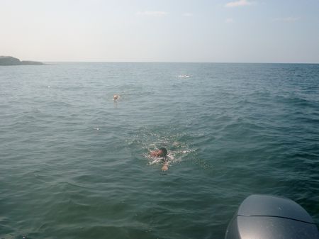 1306176.JPG