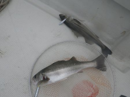 1306233.JPG