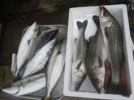 1306234.JPG