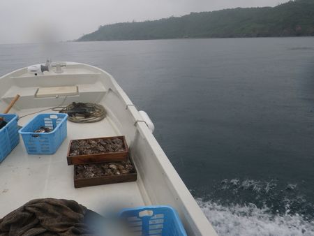 1306263.JPG