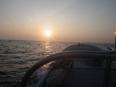 1306291.JPG