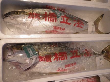 1306292.JPG