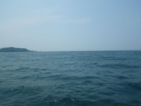1307252.JPG