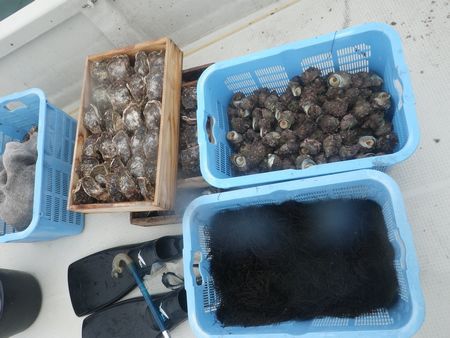 1307311.JPG