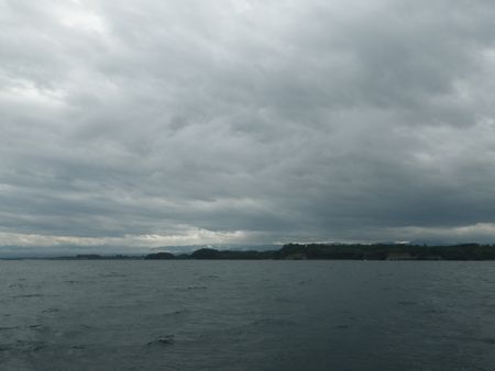 1309052.JPG