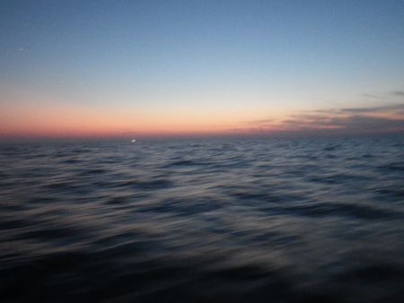 1309214.JPG