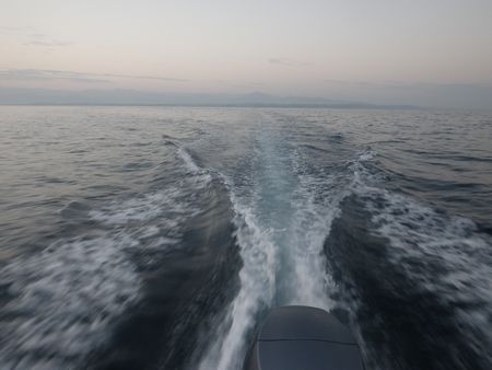 1309252.JPG