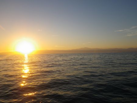 1309282.JPG