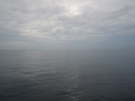 1310093.JPG