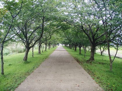 2007年10月01日_PA010019.JPG